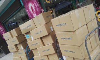 小家电、化工日用品与宠物食品进口清关渠道的稳定性探析